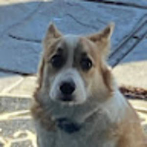 Meet your Posher, Elle